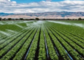 Rwanda Reviews Proposal for Agricultural Bank Amid Farm Financing Gaps