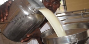 Government to End Milk Price Controls, Leaving Pricing to Farmers and Buyers