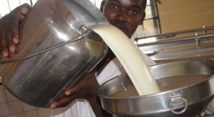 Government to End Milk Price Controls, Leaving Pricing to Farmers and Buyers