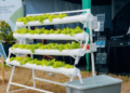 Soilless Farming Among the Highlights of Rwanda’s National Agriculture Exhibition