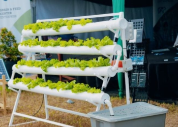 Soilless Farming Among the Highlights of Rwanda’s National Agriculture Exhibition