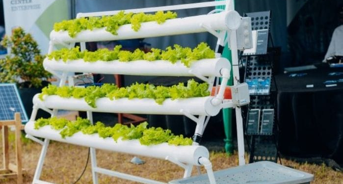 Soilless Farming Among the Highlights of Rwanda’s National Agriculture Exhibition