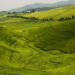 Rwanda’s Agricultural and Livestock Exports Surpass $1.1 Billion for the First Time