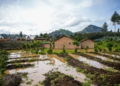 Rubavu: Frw 200 Million Set Aside to Build Homes for Families Living in High Risk Areas