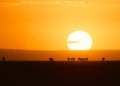 2026 Could Be One of the Hottest Years on Record
