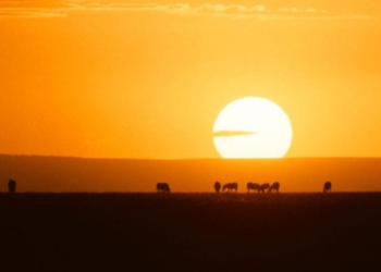 2026 Could Be One of the Hottest Years on Record