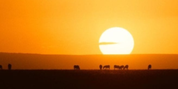 2026 Could Be One of the Hottest Years on Record