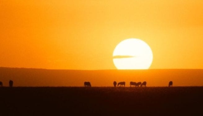 2026 Could Be One of the Hottest Years on Record