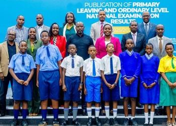 Why Have Private Schools Continued to Outperform Public Schools in Primary Leaving Examinations?