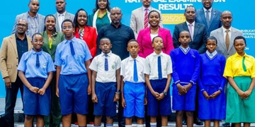 Why Have Private Schools Continued to Outperform Public Schools in Primary Leaving Examinations?