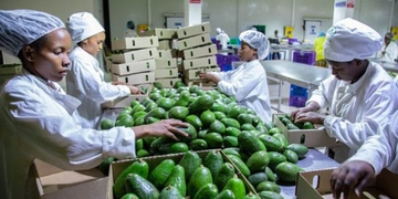 Rwanda Agricultural and Livestock Products Generate Over Frw 22 Billion in One Week