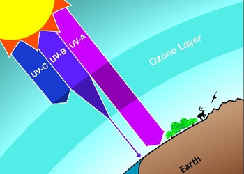 Rwanda to Host Global Ozone Protection Meeting in Kigali