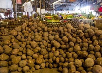 Rwanda Records Higher Production of Rice, Potatoes, Beans and Bananas