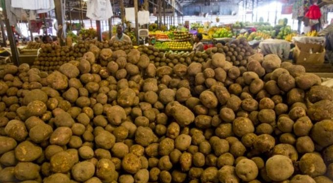Rwanda Records Higher Production of Rice, Potatoes, Beans and Bananas
