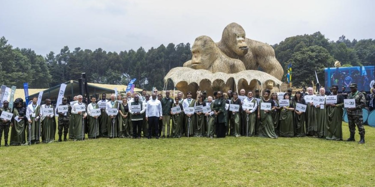 Kwita Izina 21: Musanze Comes Alive as Rwanda Celebrates Gorillas and Conservation