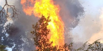 Nyaruguru: Beekeeper Blamed for Nyungwe National Park Fire
