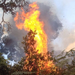 Nyaruguru: Beekeeper Blamed for Nyungwe National Park Fire