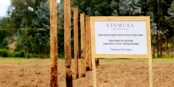 90,000 Bottles and a Rwf 32 Billion Investment: What Makes Rwanda’s New Wine Project in Musanze Unique
