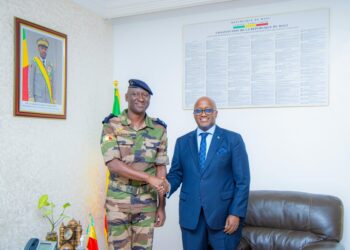 Foreign Ministers Abdoulaye Diop and Olivier Nduhungirehe discussing Rwanda and Mali security cooperation in Bamako.